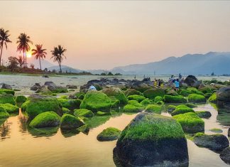 Rạn Nam Ô – địa điểm check in cực chất của mọi khách du lịch Đà Nẵng Rạn Nam Ô - địa điểm check in cực chất của mọi khách du lịch Đà Nẵng