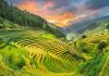 Khám phá list 27 địa điểm du lịch Lai Châu đẹp nổi tiếng hàng đầu