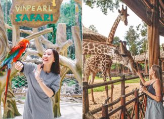 Mách bạn trọn bộ kinh nghiệm du lịch Vinpearl Safari Phú Quốc mới nhất Mách bạn trọn bộ kinh nghiệm du lịch Vinpearl Safari Phú Quốc mới nhất