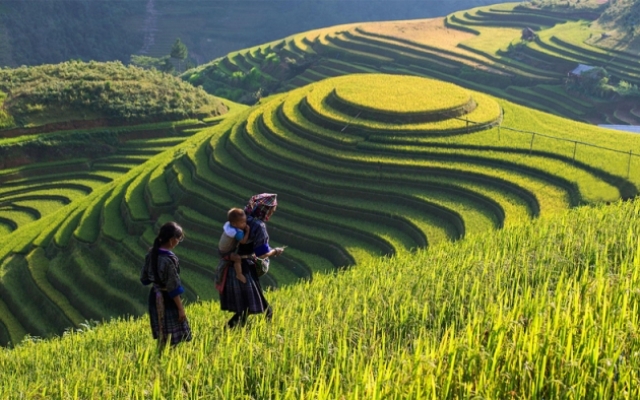 Du lịch bản Lao Chải Sapa, chiêm ngưỡng vẻ đẹp yên bình & mộc mạc